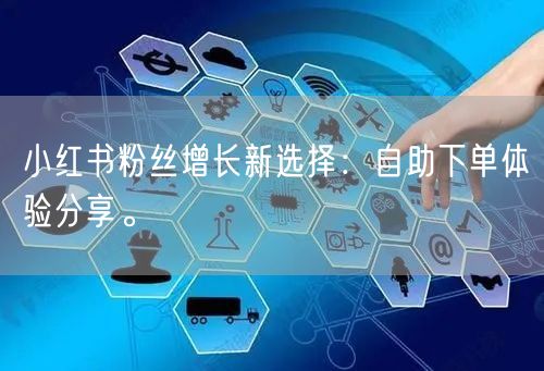 小红书粉丝增长新选择：自助下单体验分享。