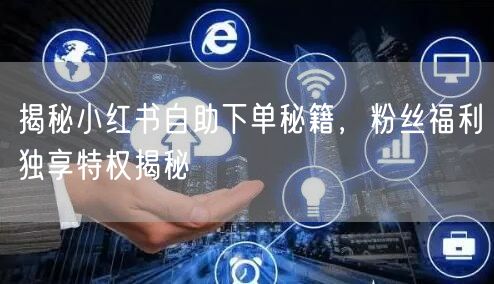 揭秘小红书自助下单秘籍，粉丝福利独享特权揭秘