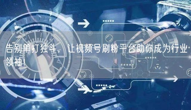 告别单打独斗，让视频号刷粉平台助你成为行业领袖！