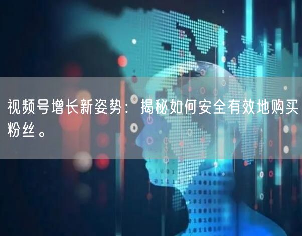 视频号增长新姿势：揭秘如何安全有效地购买粉丝。