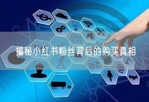 揭秘小红书粉丝背后的购买真相