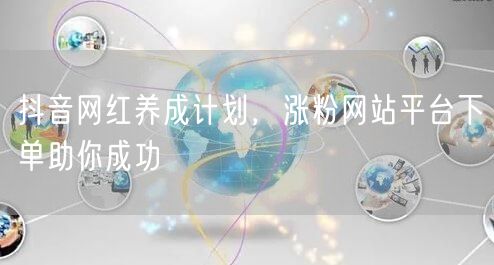 抖音网红养成计划，涨粉网站平台下单助你成功