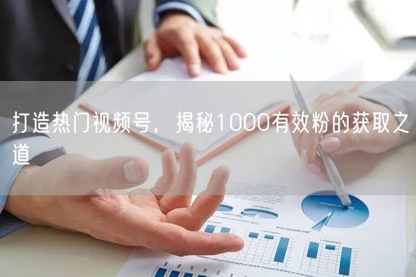 打造热门视频号，揭秘1000有效粉的获取之道
