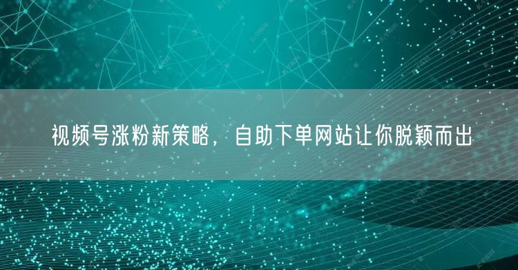 视频号涨粉新策略，自助下单网站让你脱颖而出