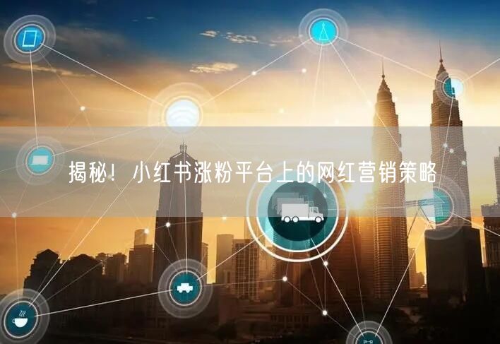 揭秘！小红书涨粉平台上的网红营销策略