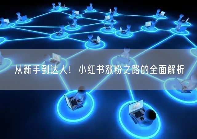 从新手到达人！小红书涨粉之路的全面解析