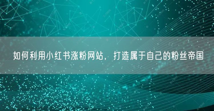 如何利用小红书涨粉网站，打造属于自己的粉丝帝国