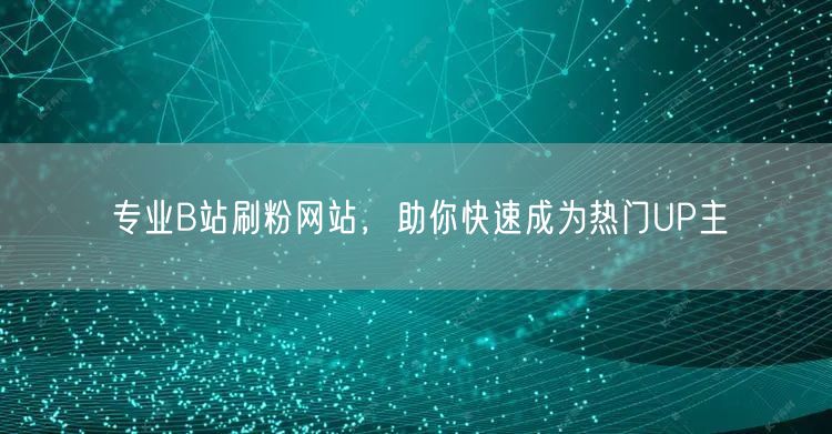 专业B站刷粉网站，助你快速成为热门UP主