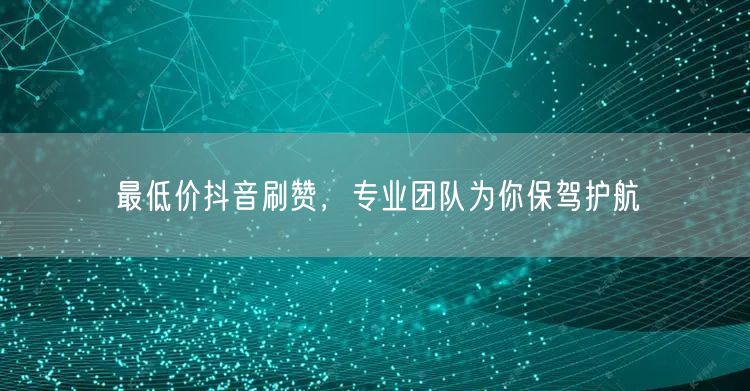最低价抖音刷赞，专业团队为你保驾护航