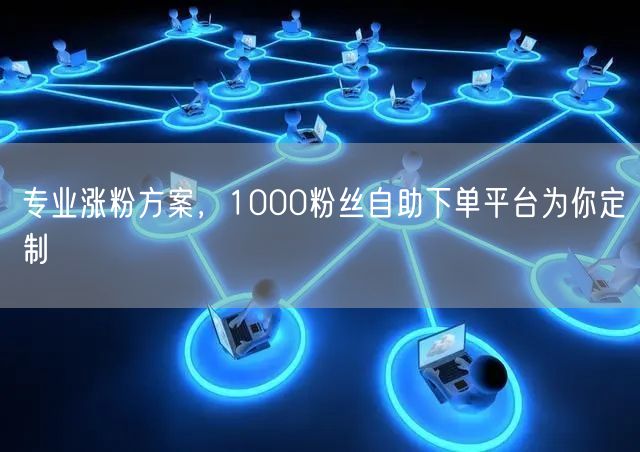 专业涨粉方案，1000粉丝自助下单平台为你定制