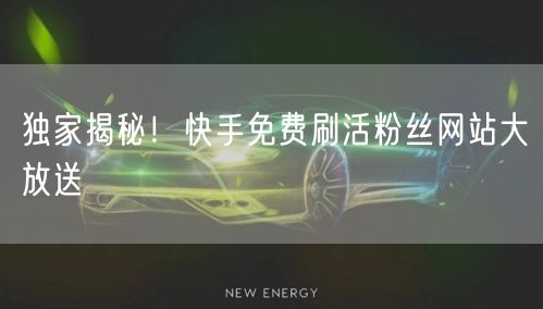 独家揭秘！快手免费刷活粉丝网站大放送