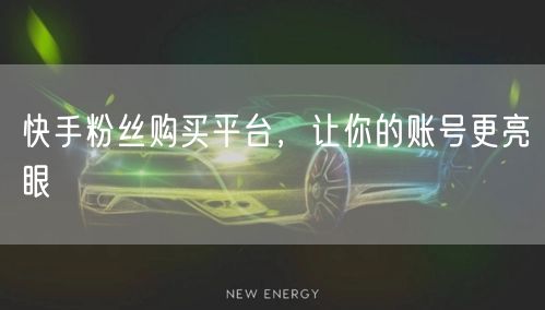 快手粉丝购买平台，让你的账号更亮眼