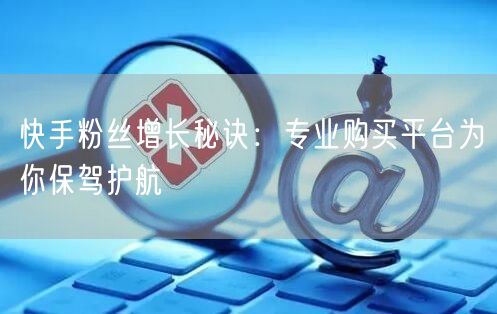 快手粉丝增长秘诀：专业购买平台为你保驾护航