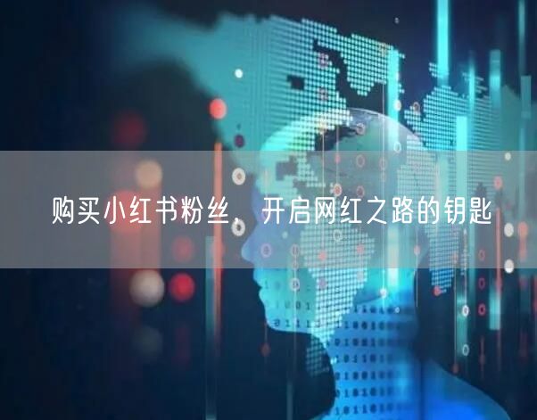 购买小红书粉丝，开启网红之路的钥匙