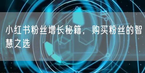 小红书粉丝增长秘籍，购买粉丝的智慧之选