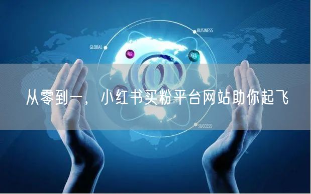 从零到一，小红书买粉平台网站助你起飞