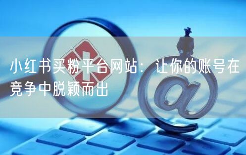 小红书买粉平台网站：让你的账号在竞争中脱颖而出