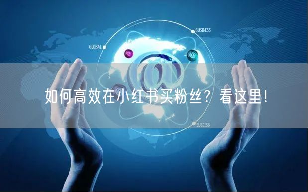 如何高效在小红书买粉丝？看这里！