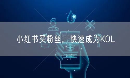 小红书买粉丝，快速成为KOL