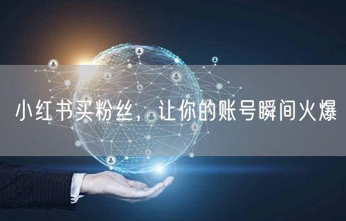 小红书买粉丝，让你的账号瞬间火爆