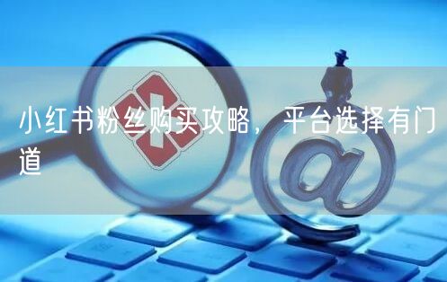 小红书粉丝购买攻略，平台选择有门道