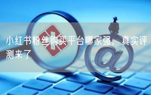 小红书粉丝购买平台哪家强，真实评测来了
