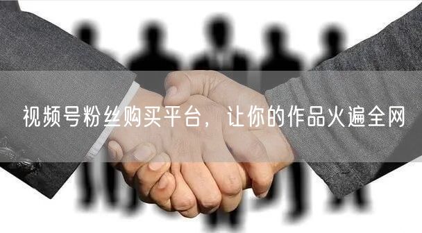 视频号粉丝购买平台，让你的作品火遍全网