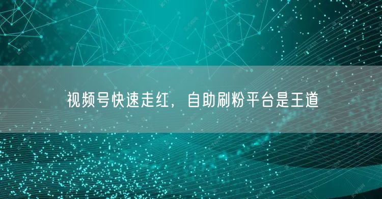 视频号快速走红，自助刷粉平台是王道