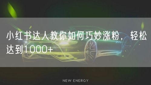 小红书达人教你如何巧妙涨粉，轻松达到1000+
