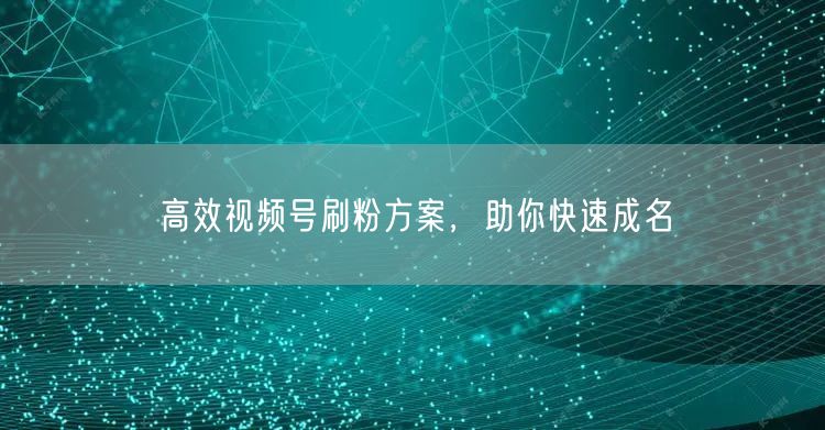 高效视频号刷粉方案，助你快速成名