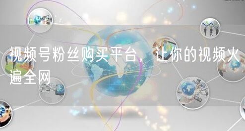 视频号粉丝购买平台，让你的视频火遍全网