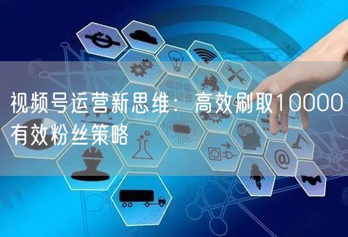 视频号运营新思维：高效刷取10000有效粉丝策略