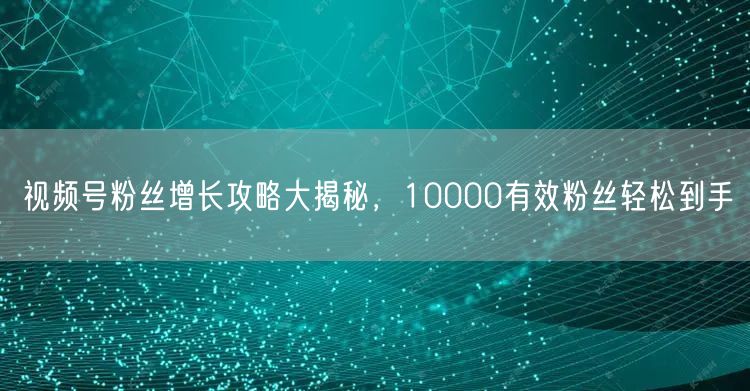 视频号粉丝增长攻略大揭秘，10000有效粉丝轻松到手