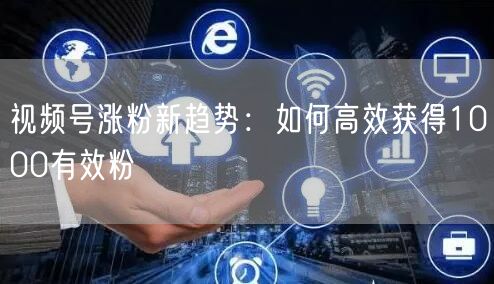 视频号涨粉新趋势：如何高效获得1000有效粉