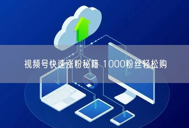 视频号快速涨粉秘籍 1000粉丝轻松购