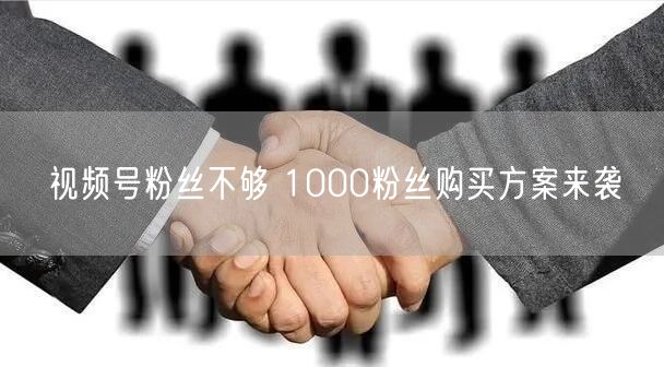视频号粉丝不够 1000粉丝购买方案来袭