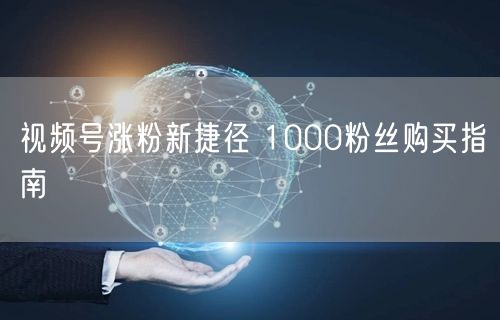 视频号涨粉新捷径 1000粉丝购买指南