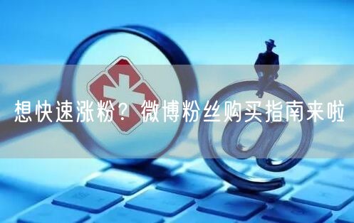 想快速涨粉？微博粉丝购买指南来啦