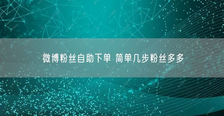 微博粉丝自助下单 简单几步粉丝多多