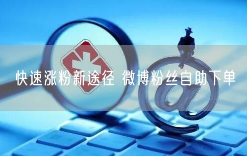 快速涨粉新途径 微博粉丝自助下单