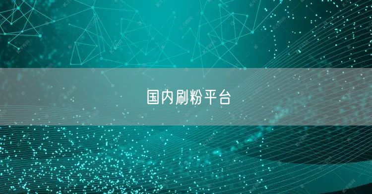 国内刷粉平台
