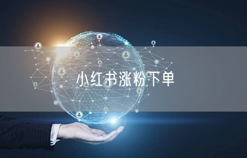 小红书涨粉下单