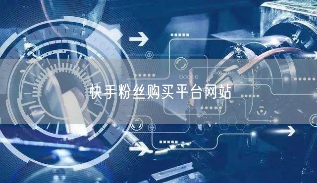 快手粉丝购买平台网站