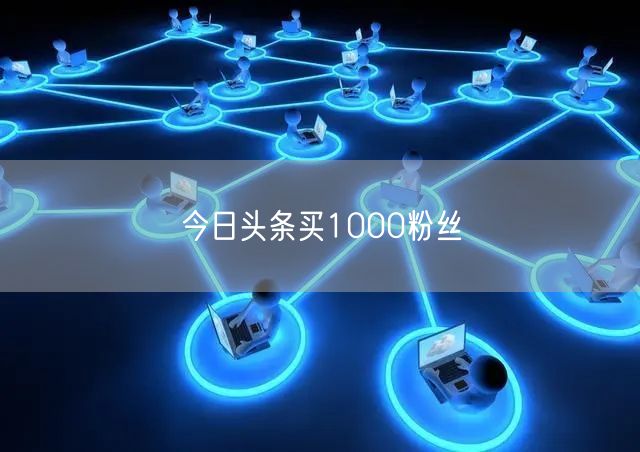 今日头条买1000粉丝