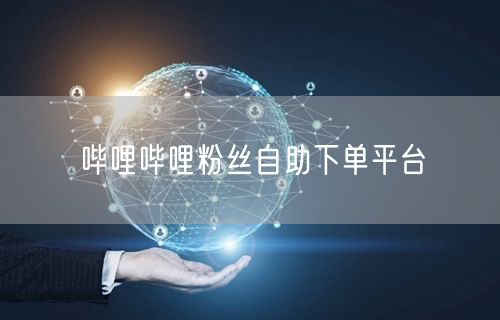 哔哩哔哩粉丝自助下单平台